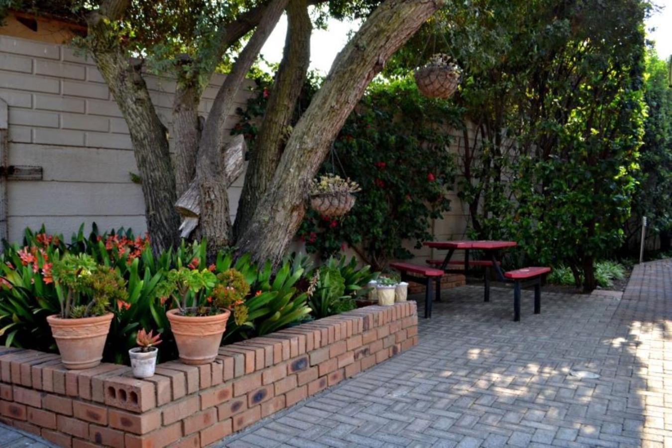 Bokmakierie Gastehuis Emalahleni Pty Ltd Buitenkant foto